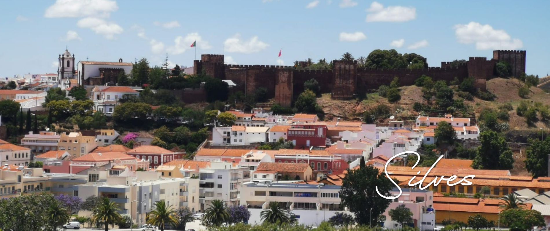 silves1